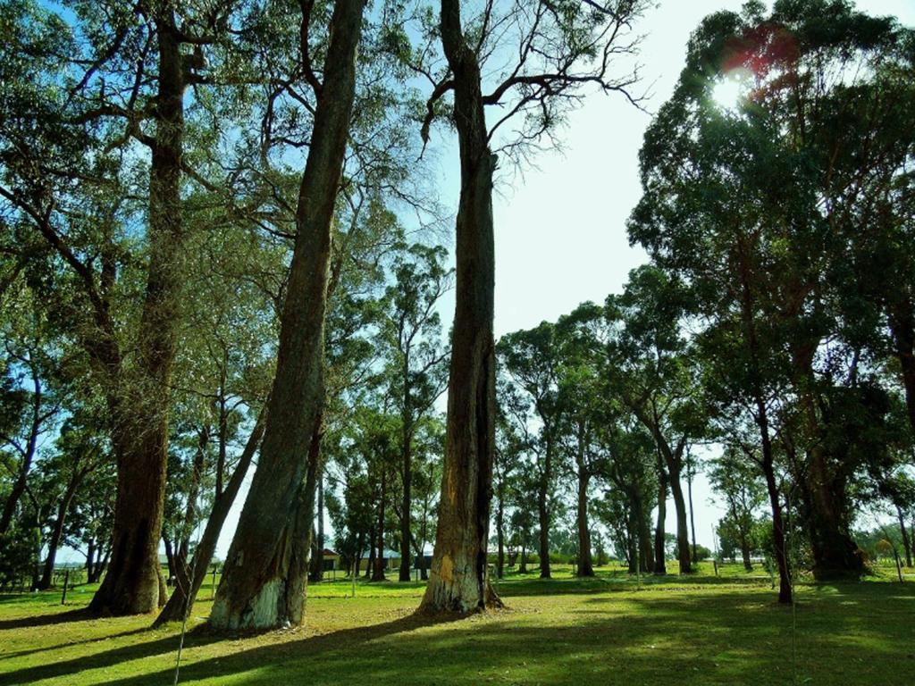 Inn The Tuarts Guest Lodge Busselton Accommodation - Adults Only מראה חיצוני תמונה