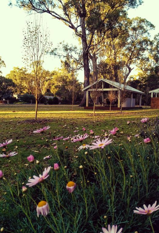 Inn The Tuarts Guest Lodge Busselton Accommodation - Adults Only מראה חיצוני תמונה