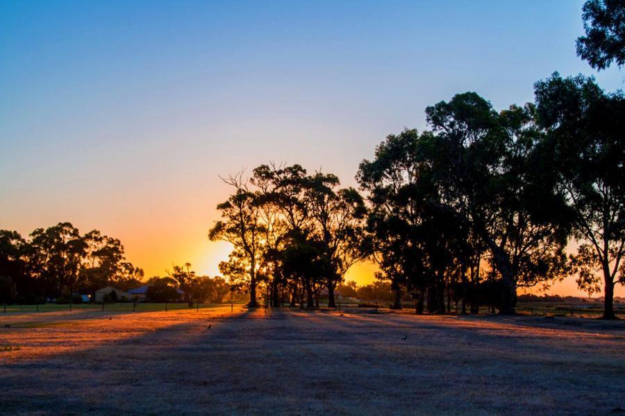 Inn The Tuarts Guest Lodge Busselton Accommodation - Adults Only מראה חיצוני תמונה